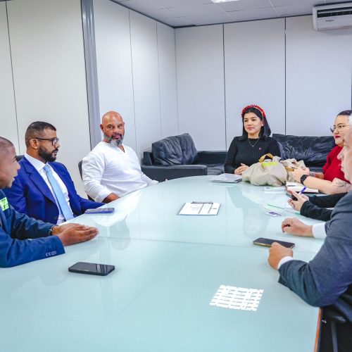 Vice-presidente da Tucuruvi apresenta projeto do carnaval ao Ministério dos Povos Indígenas (MPI), em Brasília