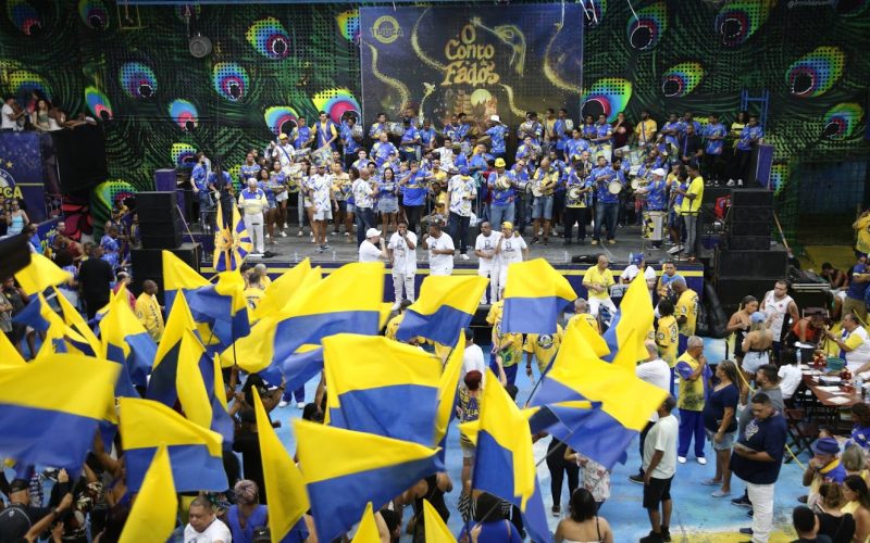 Torcida na Unidos da Tijuca
